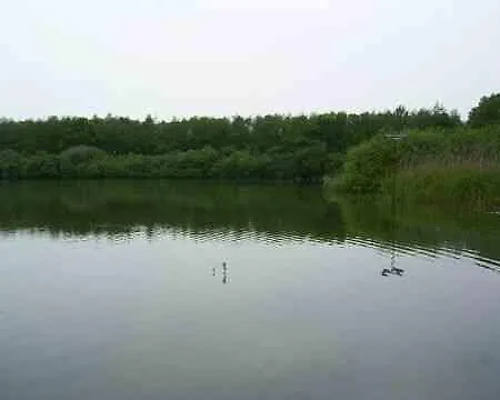 Huize Florinata Vakantiehuis Voorthuizen