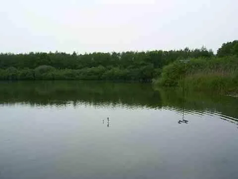 Huize Florinata Semesterbostad Voorthuizen